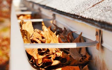 Marwood gutter cleaning companies